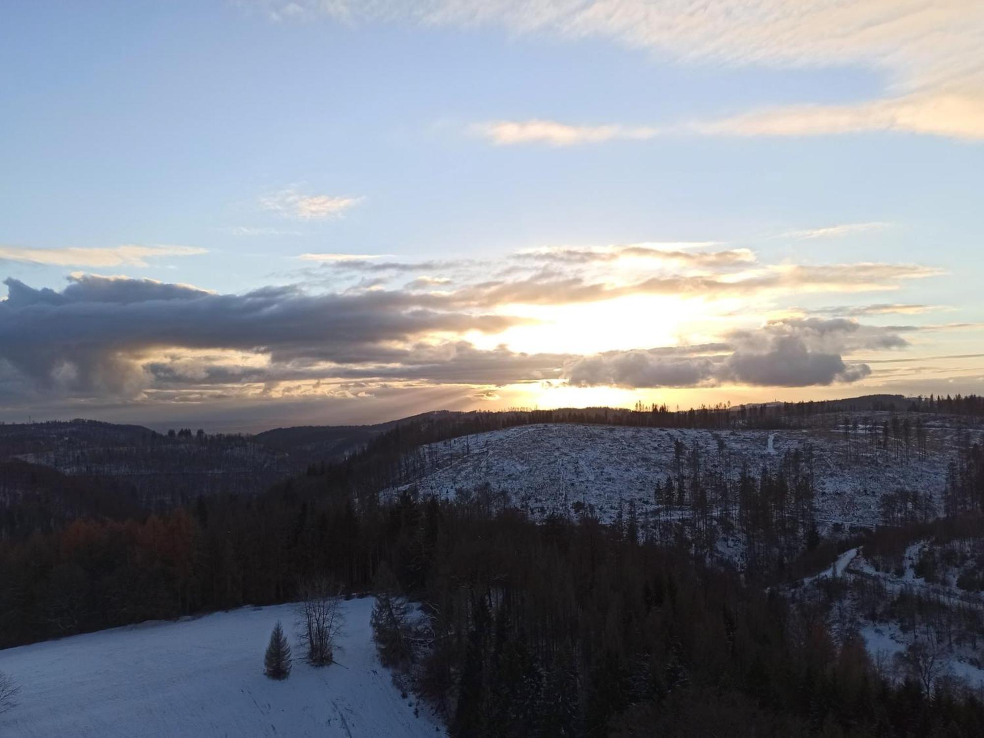 Harzoase Im Panoramic Lejlighed Braunlage Eksteriør billede